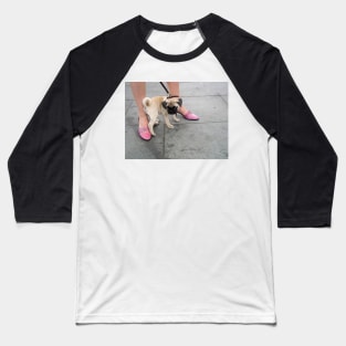 A cute puppy pug between a woman's legs in pink shoes Baseball T-Shirt